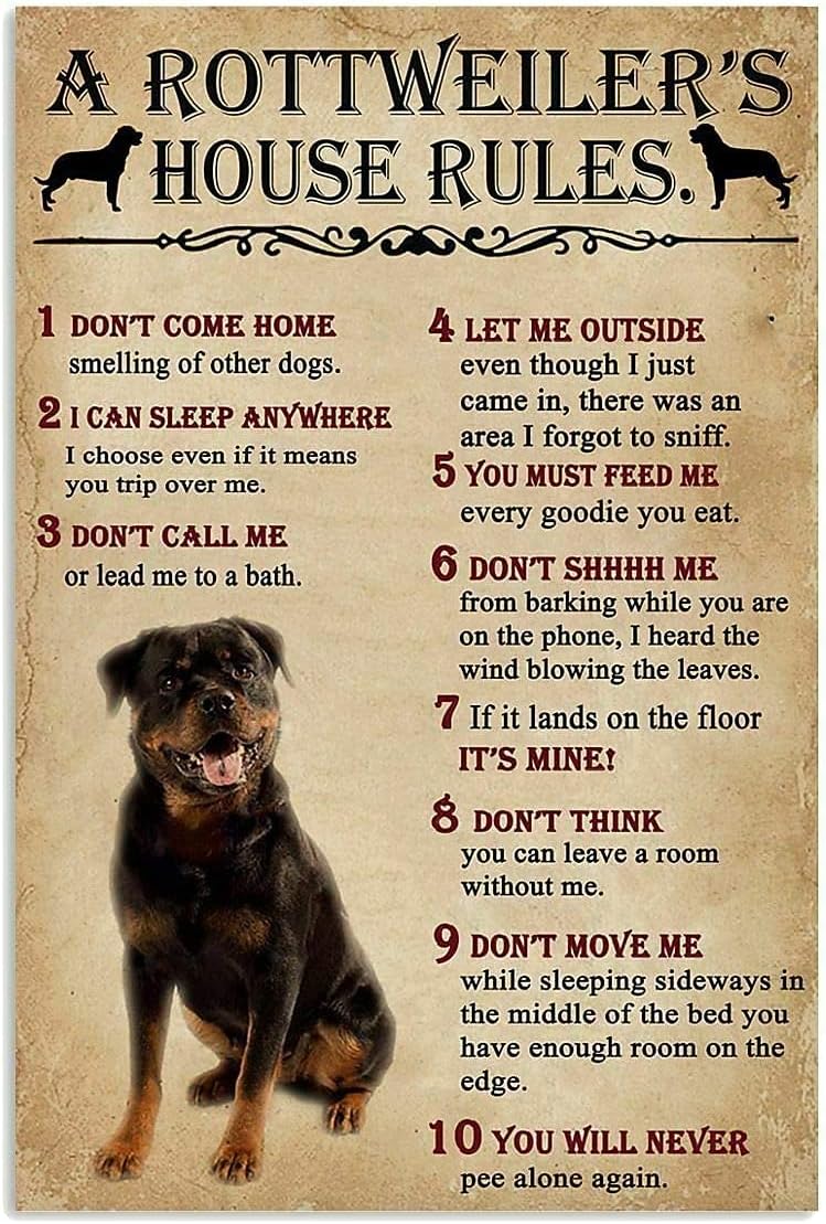 Metall-Blechschild „Rottweiler – Home Office New Rules Bewertung und Preis